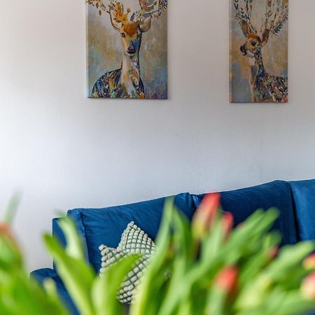 Apartament Lisowski Centrum 자코파네 외부 사진